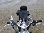 Candia, NH에서 판매 중인 2005 Harley-Davidson Xl1200 C - Front End