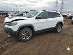 2019 Jeep Cherokee Trailhawk for Sale in Elgin, IL - Front End