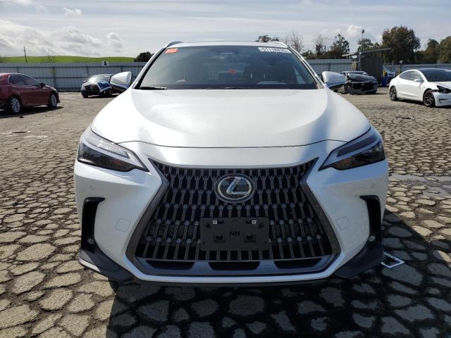  LEXUS NX 350H 2022 White