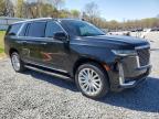 2021 Cadillac Escalade Esv Luxury for Sale in Gastonia, NC - Minor Dent/Scratches