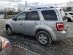 2011 Ford Escape Limited for Sale in Walton, KY - Front End