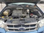 2009 Ford Escape Xlt for Sale in Wayland, MI - Front End