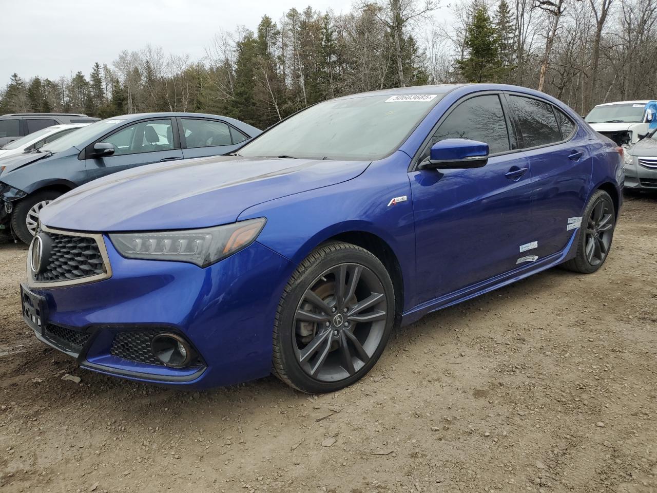 2019 Acura Tlx Technology იყიდება Cookstown-ში, ON - Vandalism