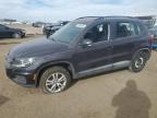 2016 Volkswagen Tiguan S for Sale in Brighton, CO - Rear End