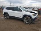 2019 Jeep Cherokee Trailhawk for Sale in Elgin, IL - Front End