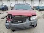 2006 Ford Escape Xlt იყიდება Louisville-ში, KY - Front End