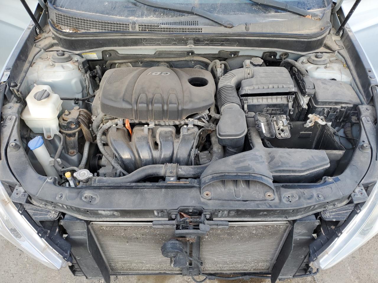 2013 Hyundai Sonata Gls VIN: 5NPEB4AC5DH536080 Lot: 49451455