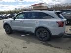 2024 Kia Sorento Sx for Sale in Exeter, RI - Rear End