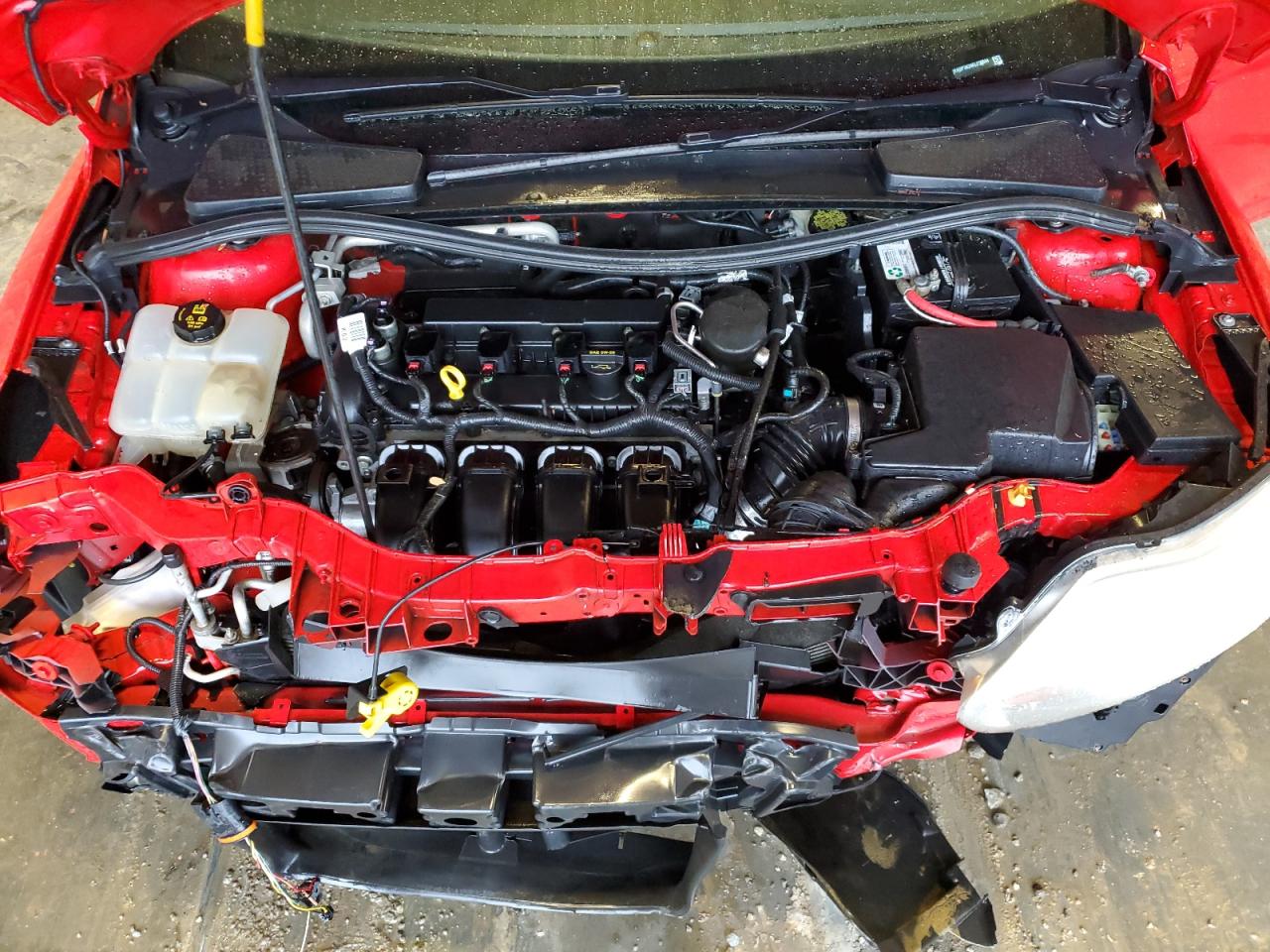 2014 Ford Focus Se VIN: 1FADP3K24EL230844 Lot: 50400895