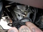 2002 Honda Gl1800  for Sale in Candia, NH - Burn