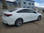 2018 Hyundai Sonata Se na sprzedaż w Albuquerque, NM - Biohazard/Chemical