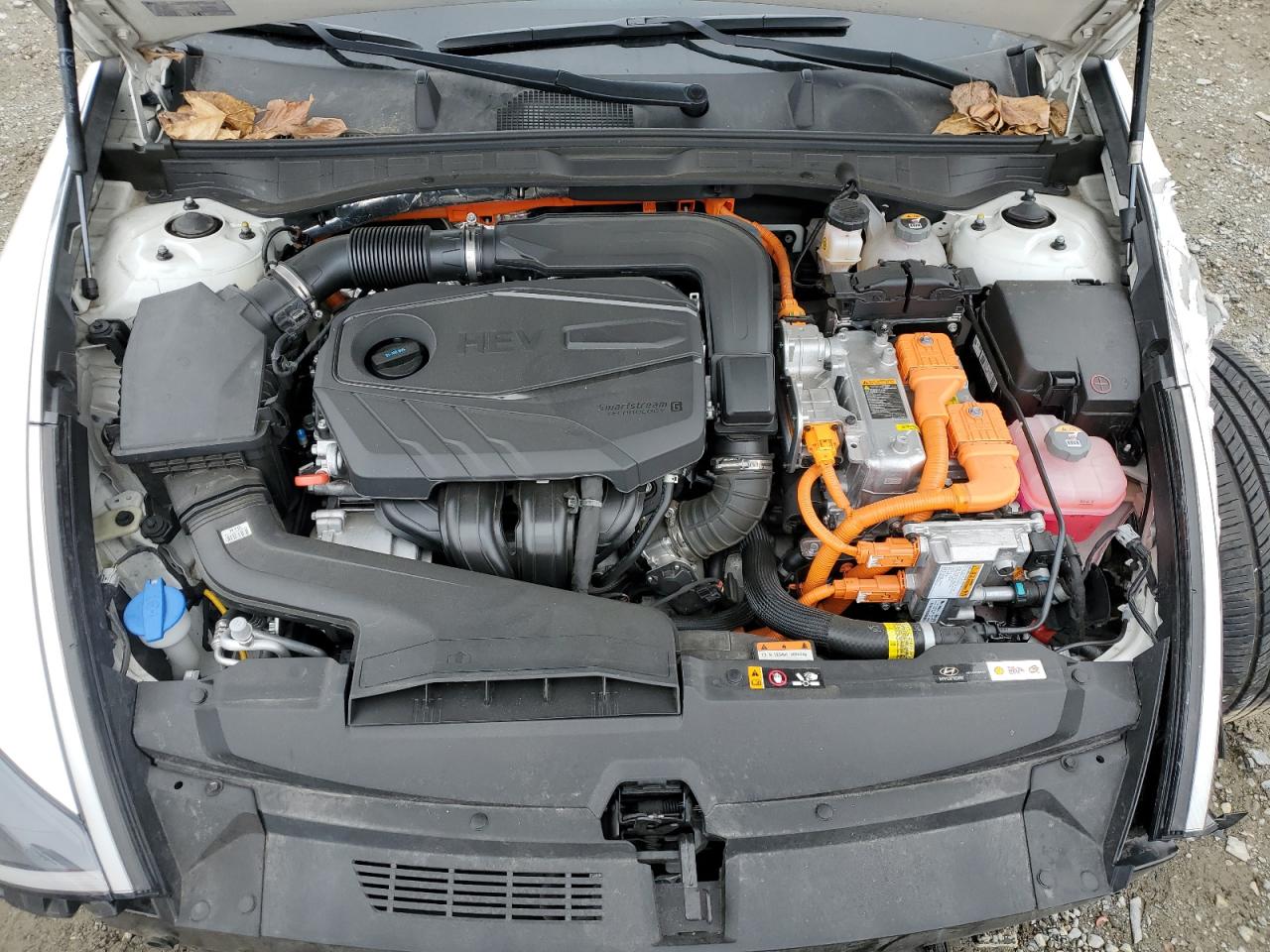 2021 Hyundai Sonata Hybrid VIN: KMHL34JJ5MA027189 Lot: 48718065