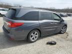 Kansas City, KS에서 판매 중인 2019 Honda Odyssey Exl - Front End