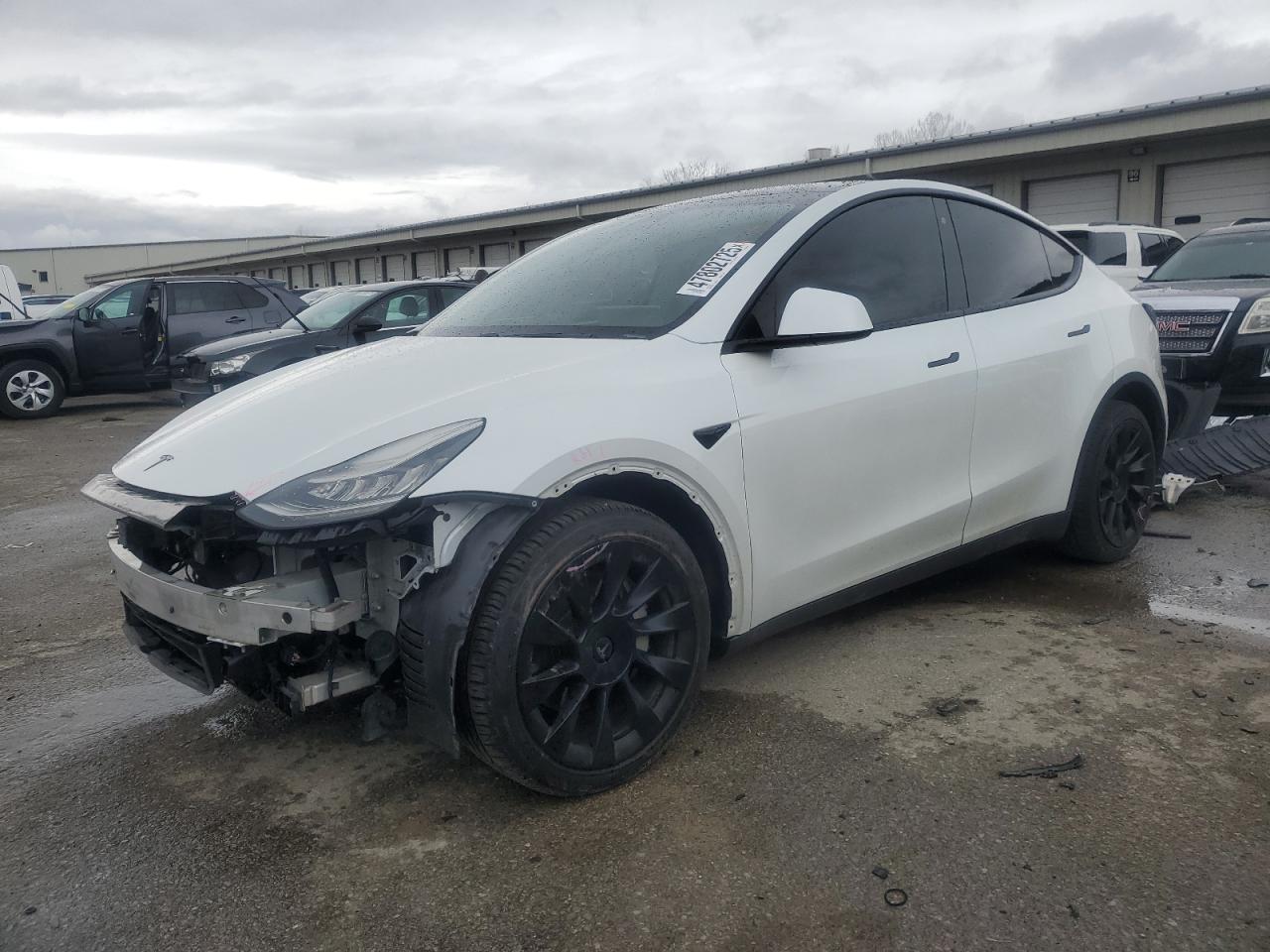 2020 Tesla Model Y للبيع في Louisville، KY - All Over
