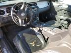 2014 Ford Mustang  for Sale in Amarillo, TX - Front End