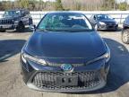 Exeter, RI에서 판매 중인 2022 Toyota Corolla Le - Rear End