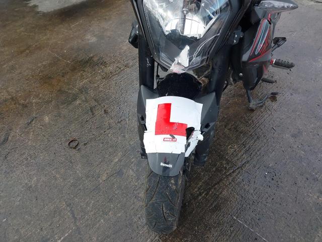2024 BENELLI BN 125 E5