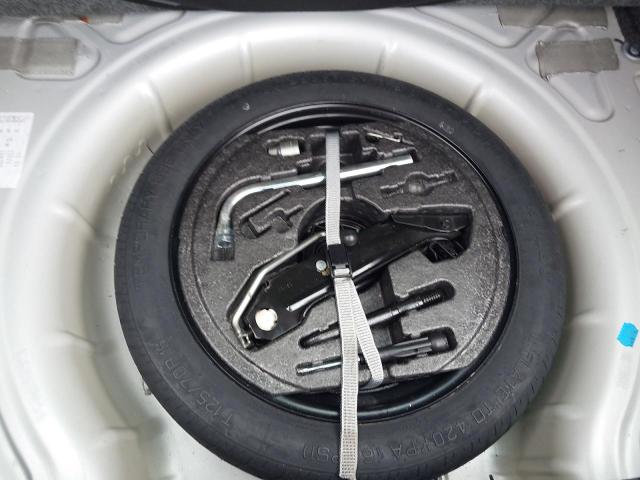 2011 VOLKSWAGEN GOLF TWIST