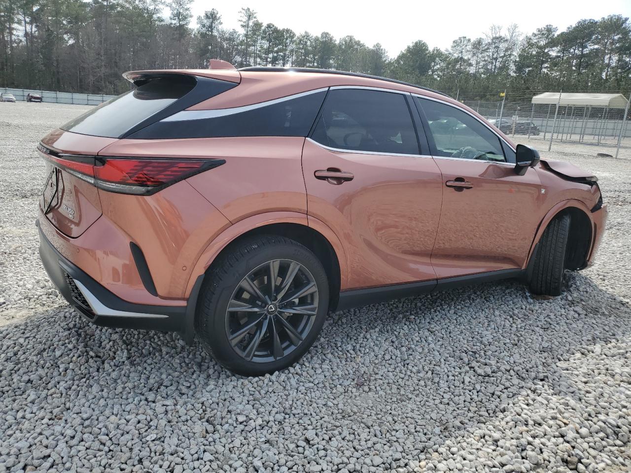 2024 Lexus RX - Image 3