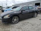 2013 Nissan Maxima S на продаже в Jacksonville, FL - Minor Dent/Scratches