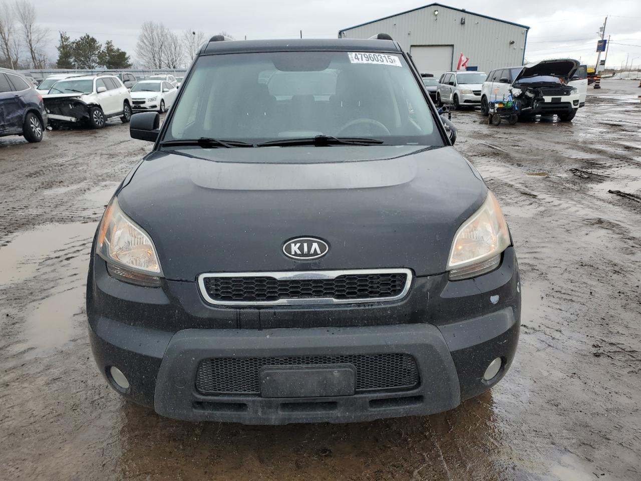 2010 Kia Soul - Image 5