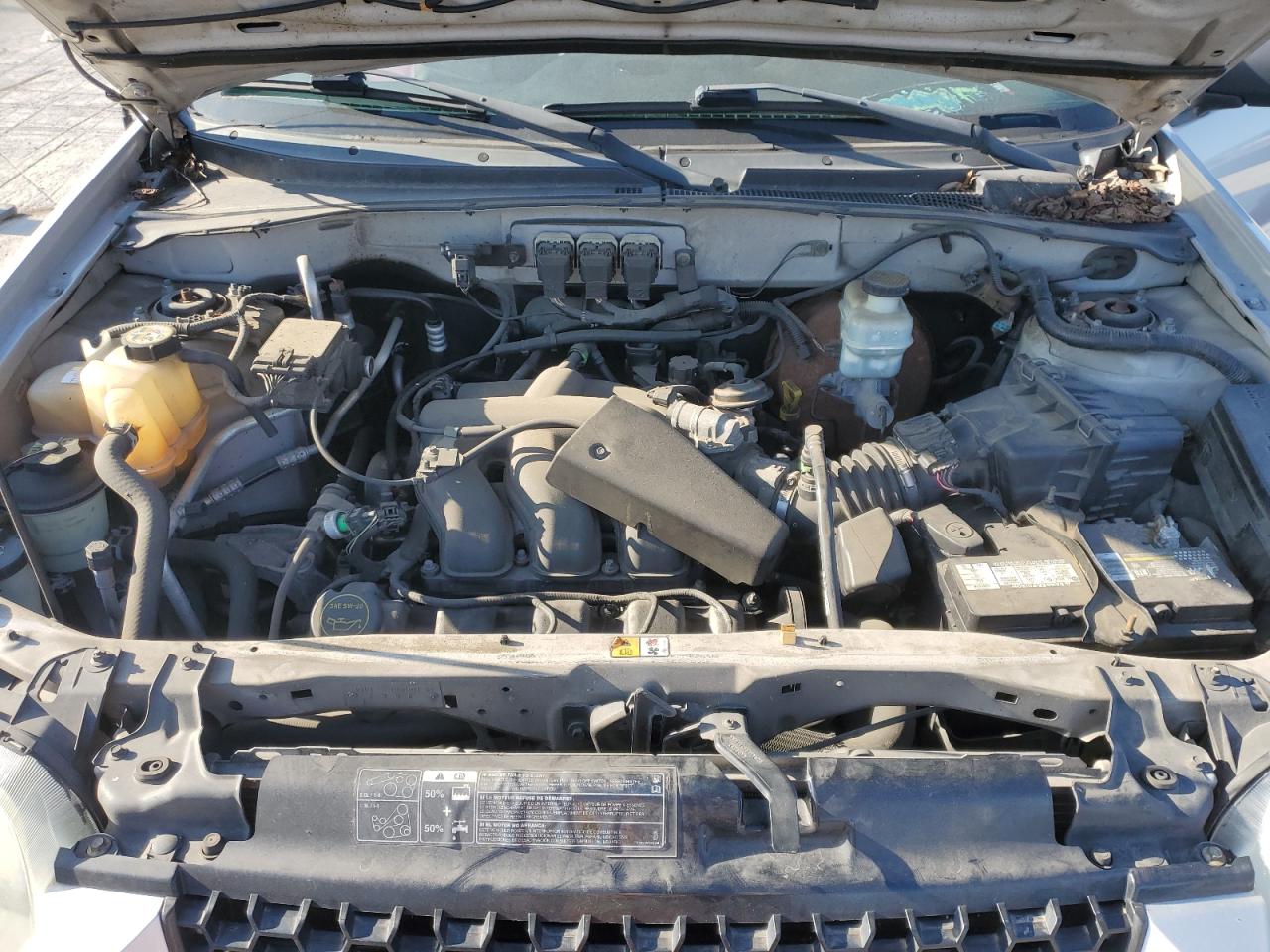 2005 Ford Escape Limited VIN: 1FMYU941X5KB52194 Lot: 48726645