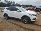 2018 Hyundai Santa Fe Sport  for Sale in Theodore, AL - Rear End