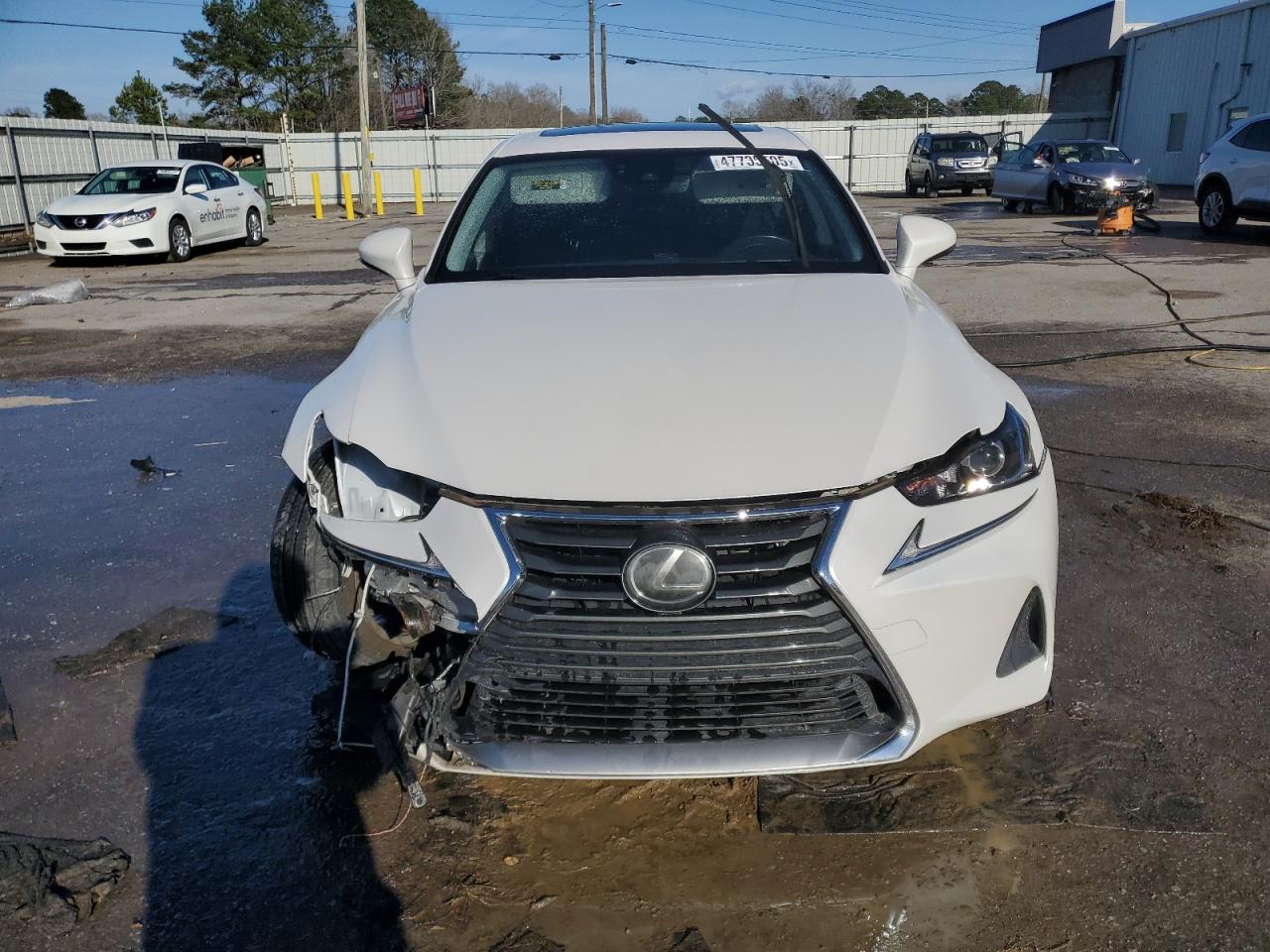 2019 Lexus IS - Image 5