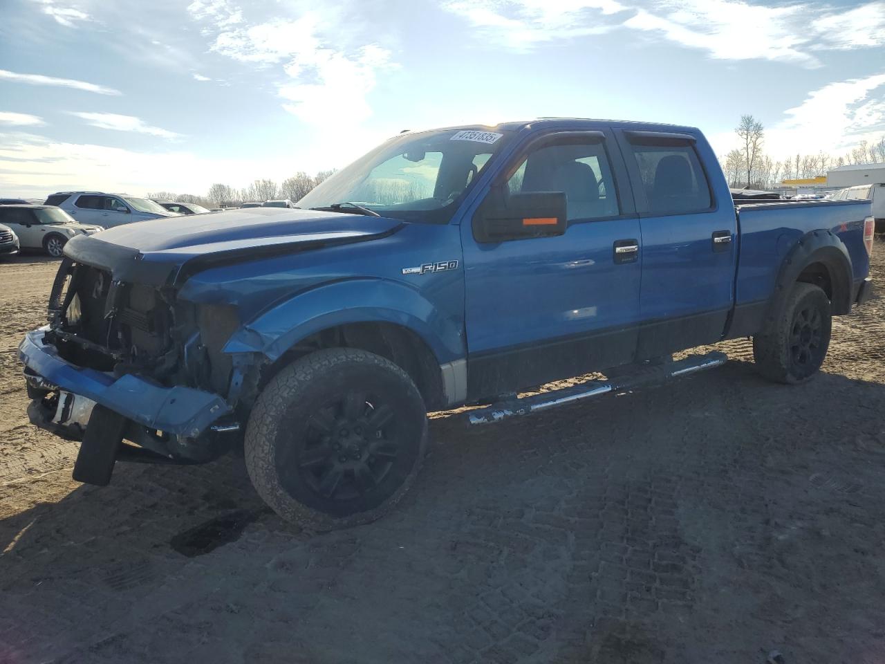 2010 Ford F-150 - Image 1
