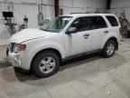 2011 Ford Escape Xlt   en Venta en Billings, MT - Front End