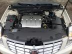 2006 Cadillac Commercial Chassis  na sprzedaż w Marlboro, NY - Rear End