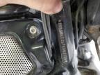 Dallas, TX에서 판매 중인 2007 Harley-Davidson Vrscdx  - Front End
