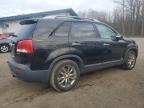 2011 Kia Sorento Ex للبيع في East Granby، CT - Minor Dent/Scratches