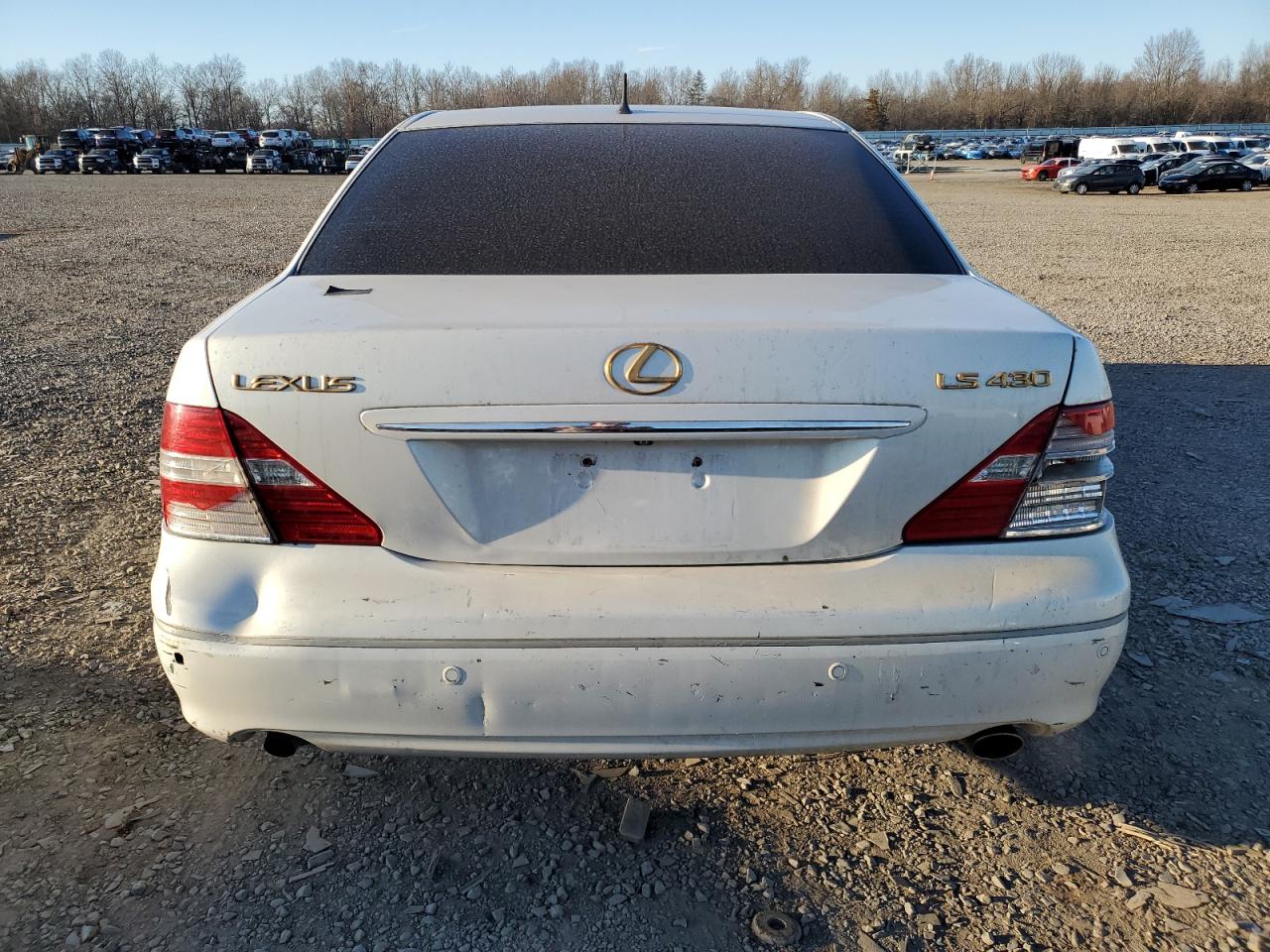 2004 Lexus LS - Image 6