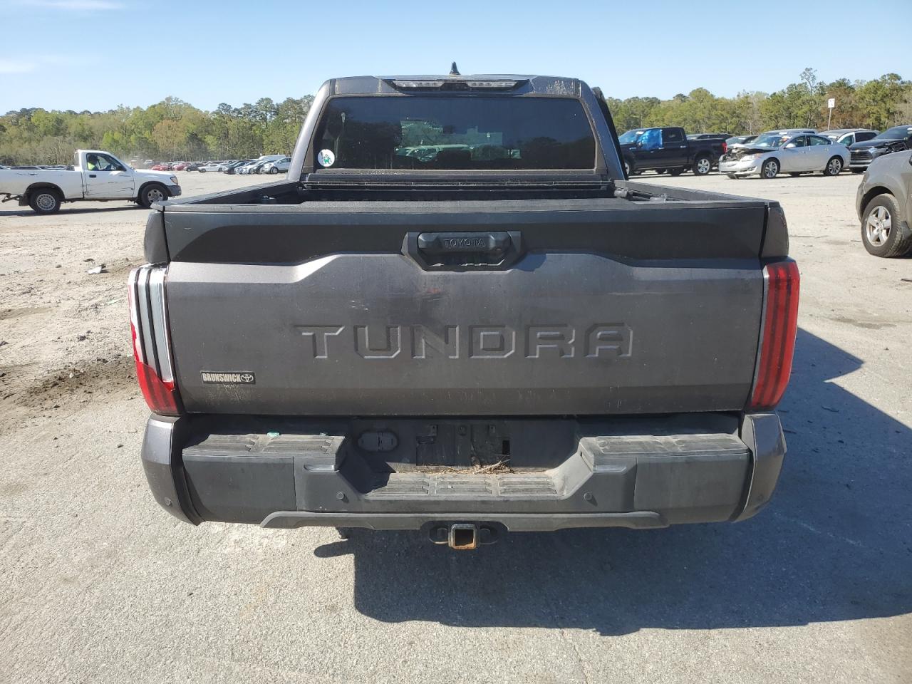 2022 Toyota Tundra Crewmax Sr VIN: 5TFLA5AB7NX008134 Lot: 49888115