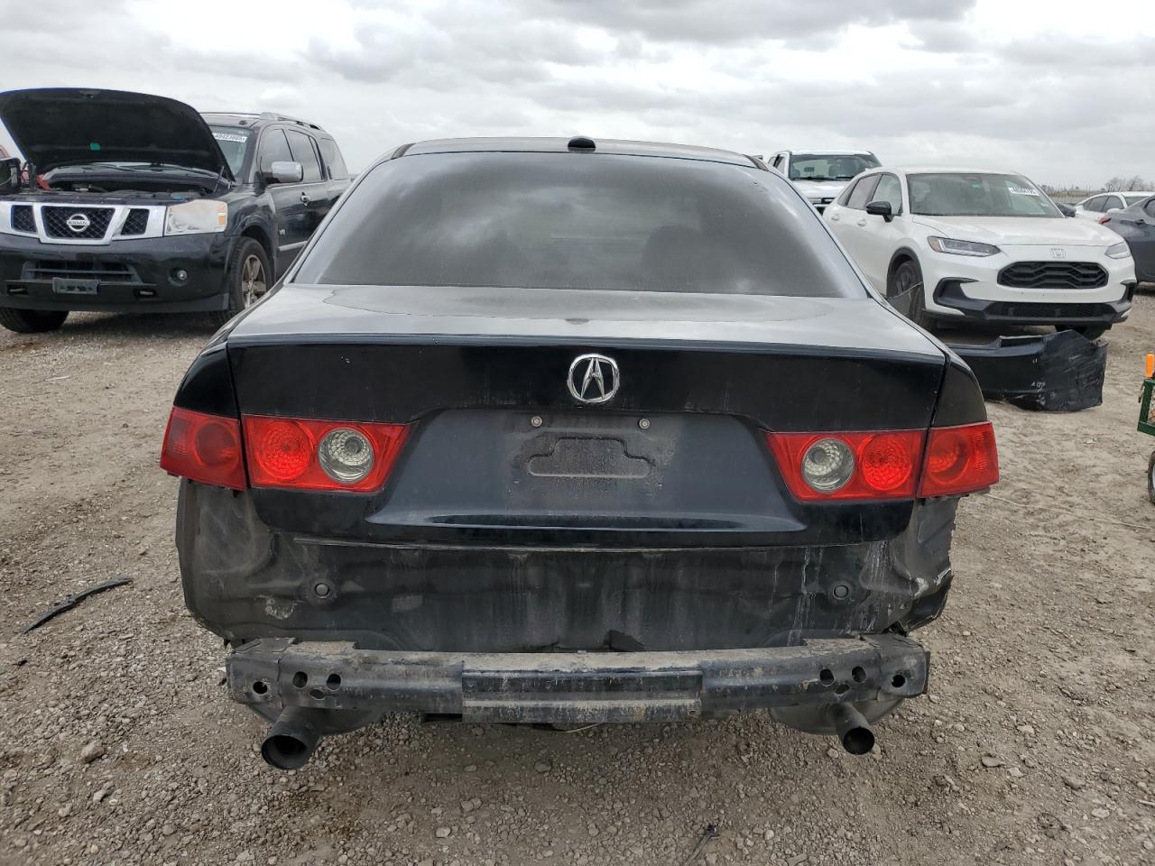 2008 Acura Tsx VIN: JH4CL96838C019706 Lot: 48103595