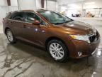 2011 Toyota Venza  zu verkaufen in Avon, MN - Front End