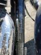 2015 Harley-Davidson Fld Switchback for Sale in Greenwell Springs, LA - All Over