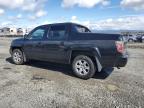 Eugene, OR에서 판매 중인 2006 Honda Ridgeline Rtl - Front End