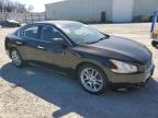 2010 Nissan Maxima S for Sale in Hampton, VA - Front End