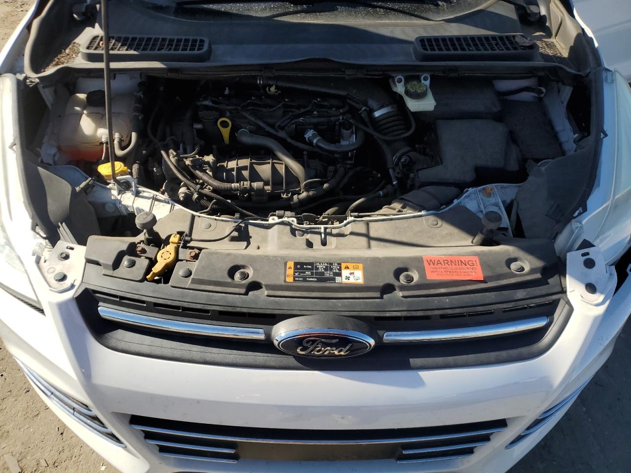 1fmcu0gx9euc17028 1FMCU0GX9EUC17028 2014 Ford Escape Se