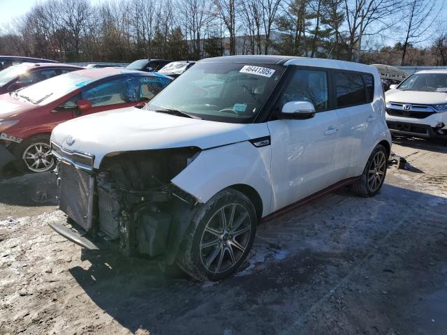 2019 Kia Soul !