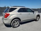 2010 Chevrolet Equinox Lt en Venta en Orlando, FL - Rear End