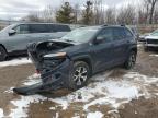 Davison, MI에서 판매 중인 2017 Jeep Cherokee Trailhawk - Front End