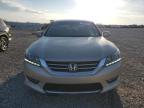 2013 Honda Accord Exl იყიდება Earlington-ში, KY - Hail