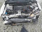 2016 Honda Accord Ex zu verkaufen in Windsor, NJ - Front End