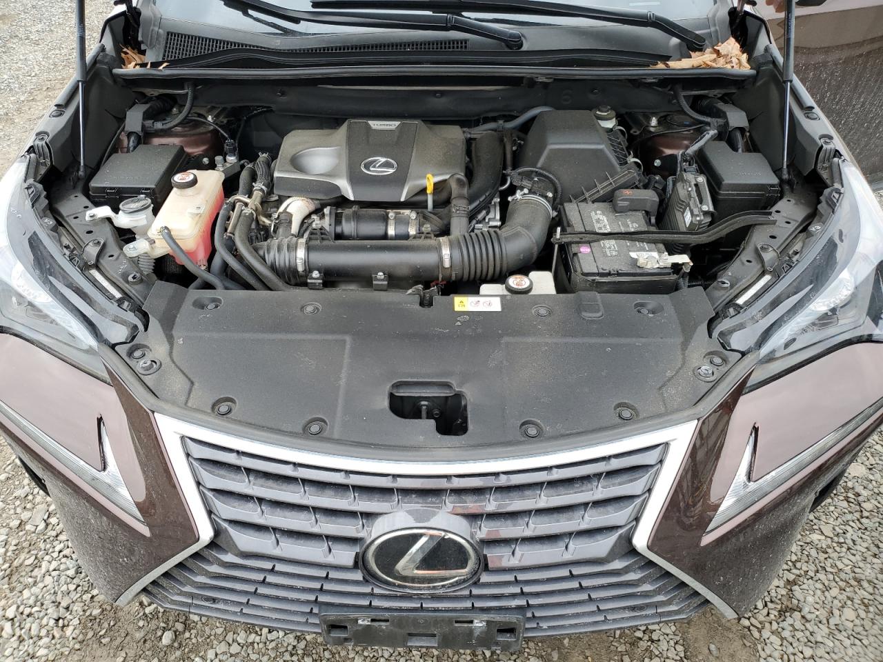 2019 Lexus NX - Image 13