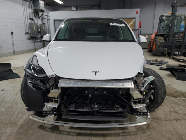  TESLA MODEL Y 2023 Білий