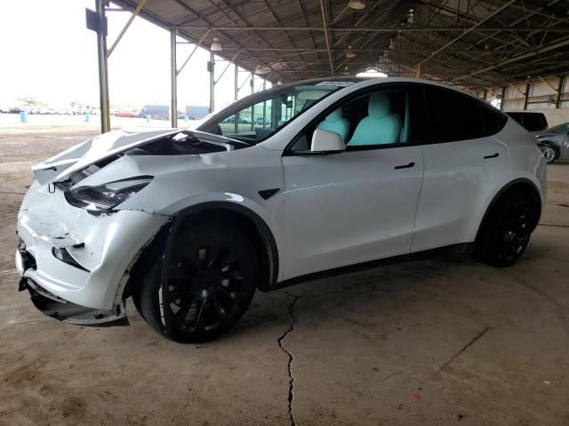 TESLA MODEL Y 2021