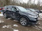 2019 Honda Cr-V Ex for Sale in Cookstown, ON - Side